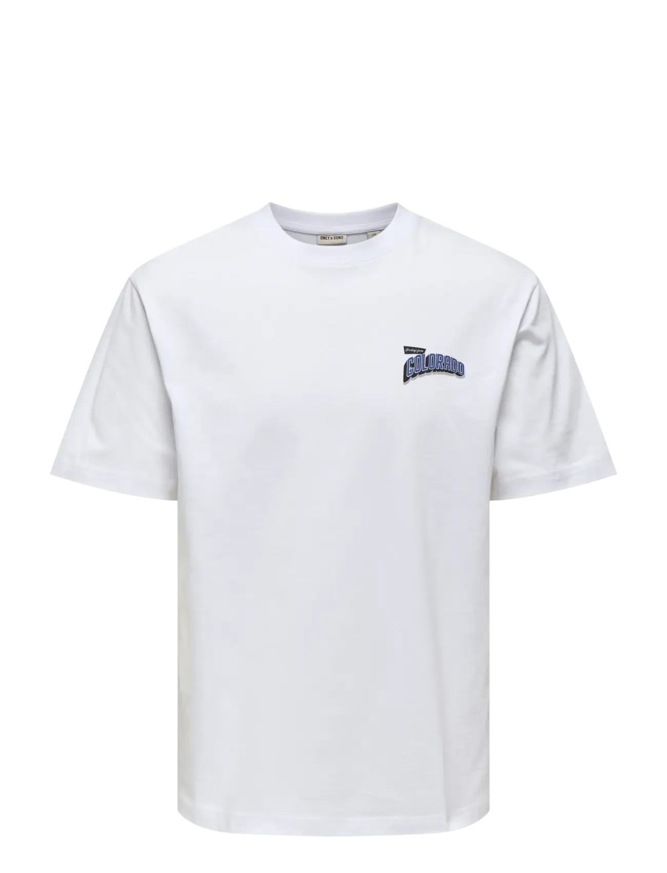 ONLY & SONS ONSFRED STATES LIFE RLX SS TEE CS CBO - T-Shirts - BRIGHT WHITE / white