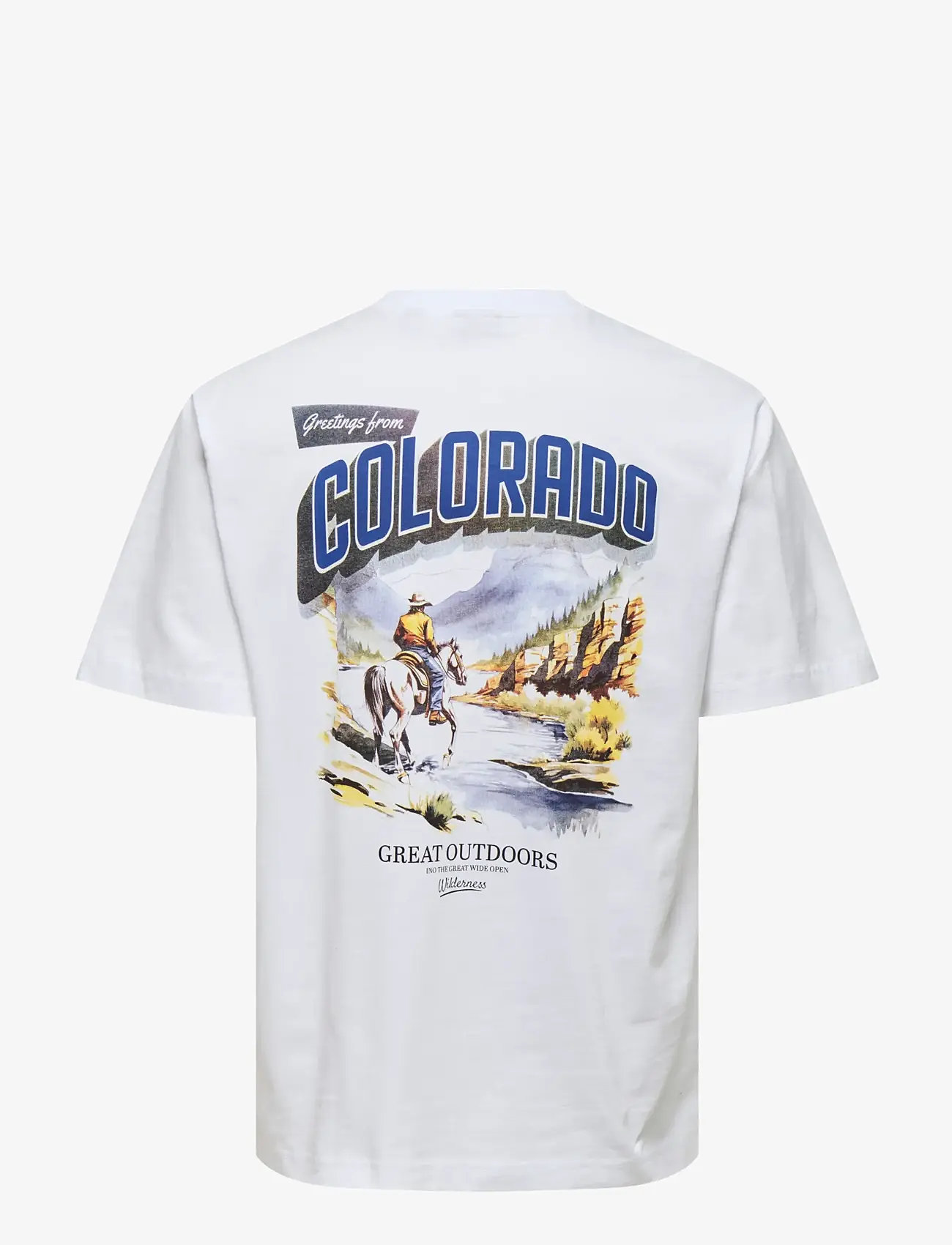 ONLY & SONS - ONSFRED STATES LIFE RLX SS TEE CS CBO - kortærmede t-shirts - bright white - 1