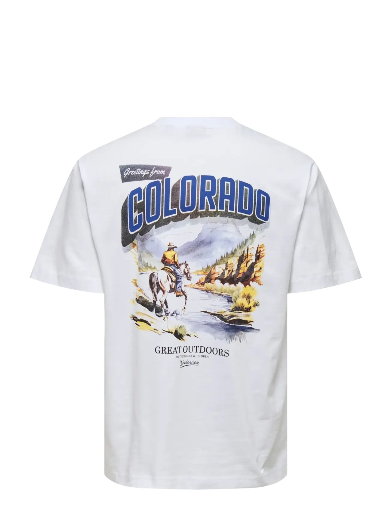 ONLY & SONS - ONSFRED STATES LIFE RLX SS TEE CS CBO - lühikeste varrukatega t-särgid - bright white - 1