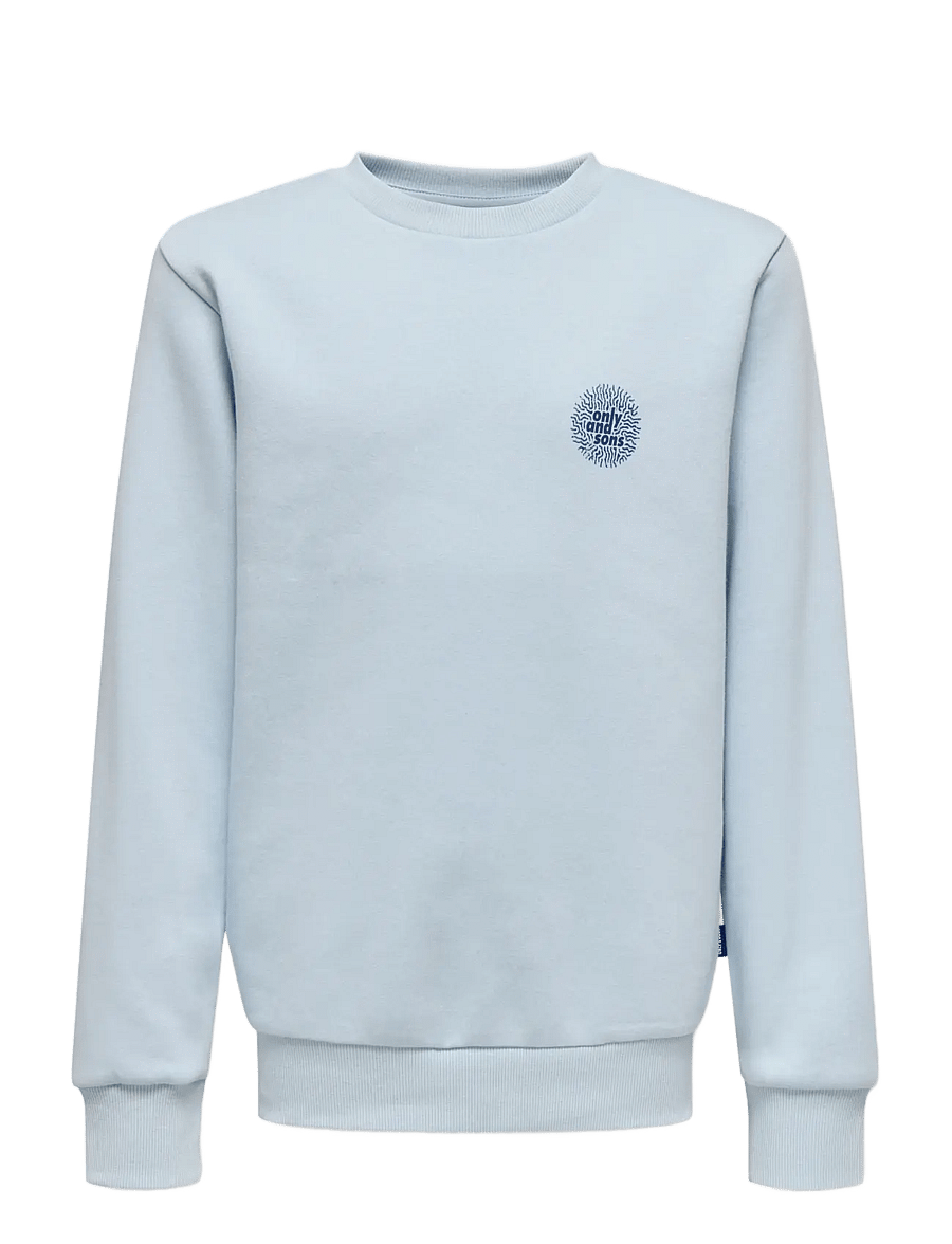 ONLY & SONS - OSJCERES CELL REG LS CREW SWT - sweatshirts - skyway - 0