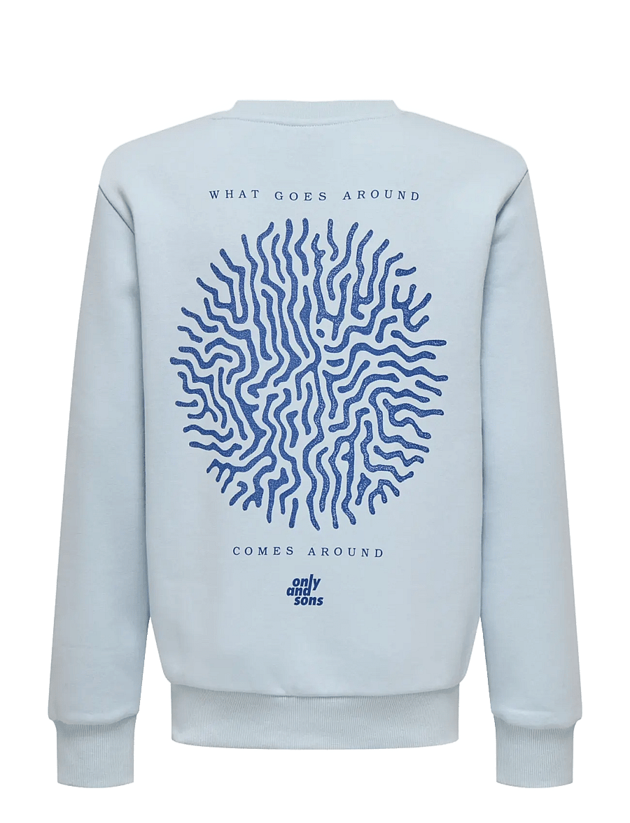 ONLY & SONS - OSJCERES CELL REG LS CREW SWT - sweatshirts - skyway - 1