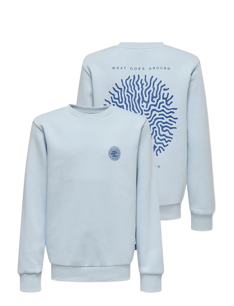 ONLY & SONS - OSJCERES CELL REG LS CREW SWT - sweatshirts - skyway - 2