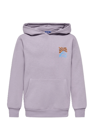 ONLY & SONS OSJMENDEZ REG LS HOODIE SWT - Kapuzenpullover - LAVENDER GRAY / purple