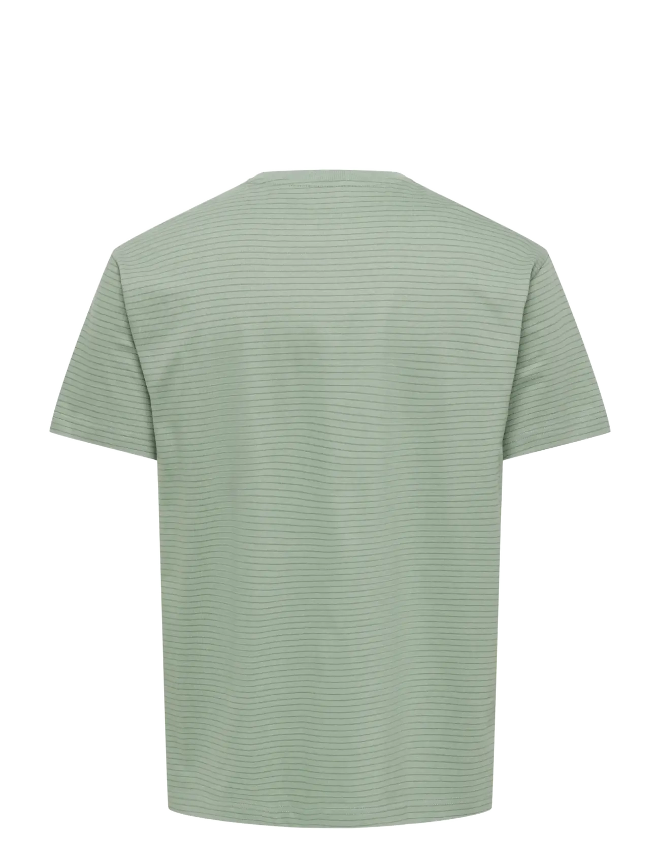 ONLY & SONS - ONSFRED STRIPE LIFE RLX LEAF SS PCKT TEE - short-sleeved t-shirts - iceberg green - 2