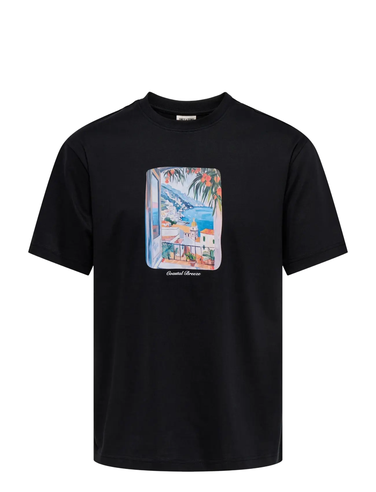 ONLY & SONS Onsfred Painting Life Rlx Ss Tee, S, Black, T-Shirts > Kortærmede, Herre