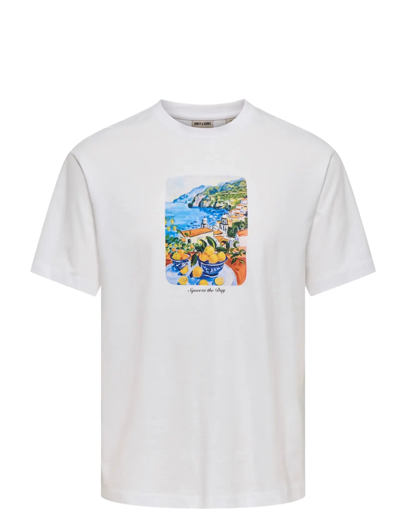ONLY & SONS Onsfred Painting Life Rlx Ss Tee Weiß - M - Herren