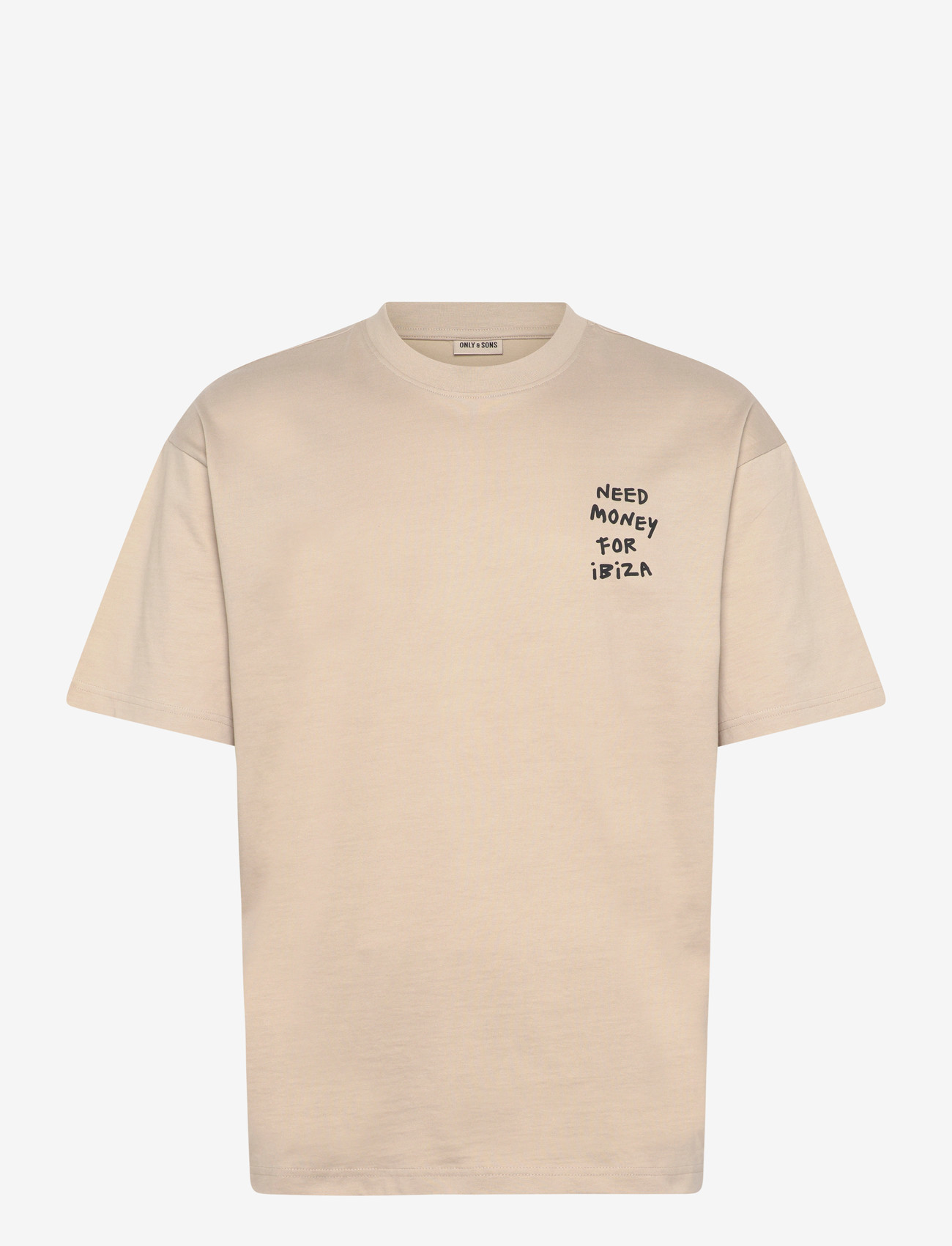 ONLY & SONS - ONSMONEY LIFE LOOSE SS TEE - kortærmede t-shirts - silver lining - 0