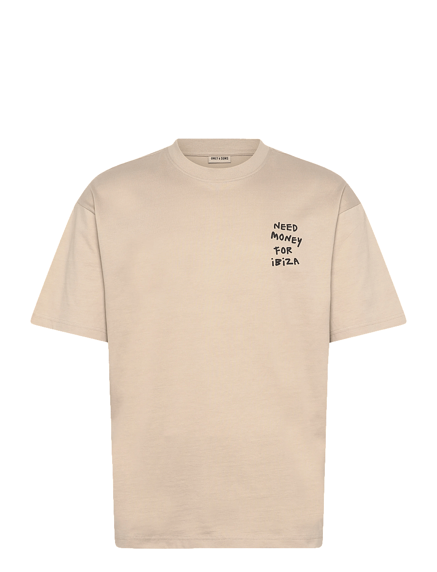 ONLY & SONS - ONSMONEY LIFE LOOSE SS TEE - kurzärmelig - silver lining - 0