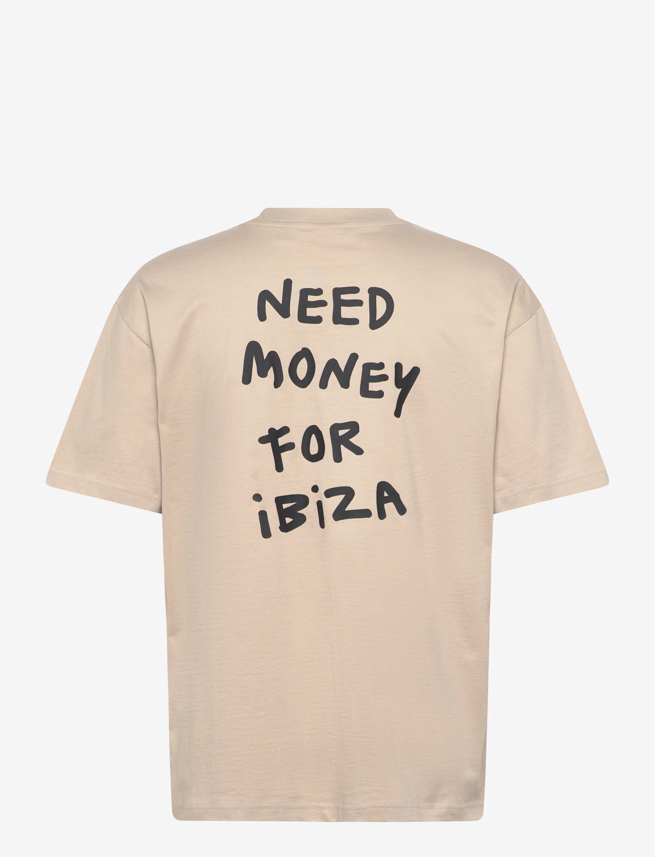 ONLY & SONS - ONSMONEY LIFE LOOSE SS TEE - kortærmede t-shirts - silver lining - 1