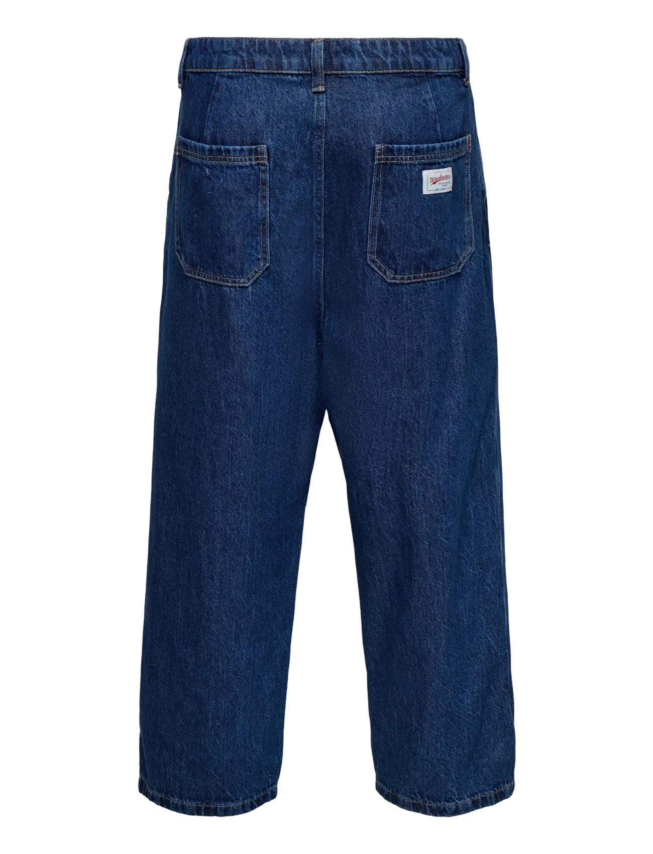 ONLY & SONS - ONSDANI LOOSE DB 8338 PIM DNM WW - dark blue denim - 1