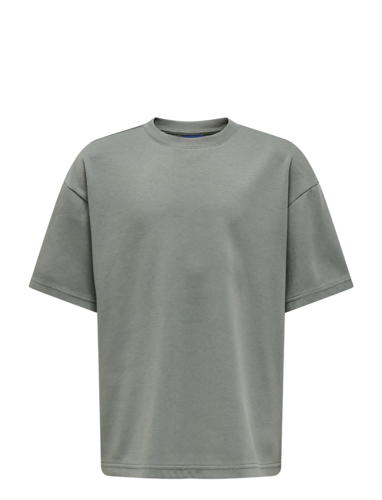 CASTOR GRAY