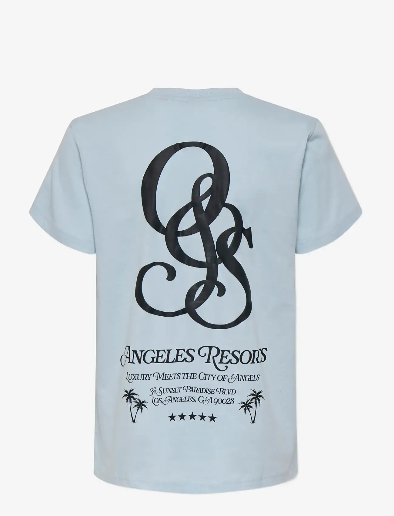 ONLY & SONS - OSJCLEVE REG SS TEE JRS - kortærmede t-shirts - skyway - 2