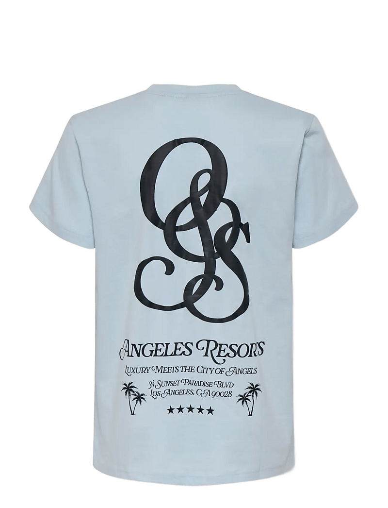 ONLY & SONS - OSJCLEVE REG SS TEE JRS - kurzärmelige - skyway - 2