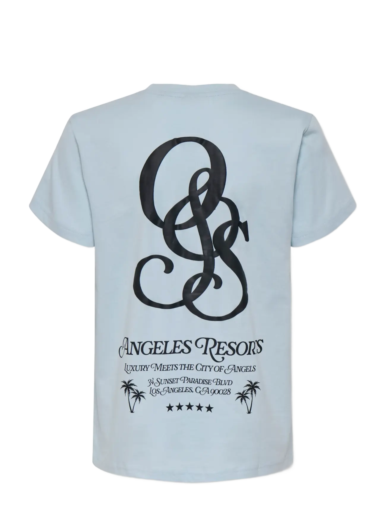ONLY & SONS - OSJCLEVE REG SS TEE JRS - lyhythihaiset t-paidat - skyway - 2