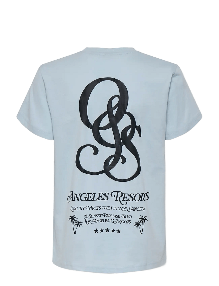 ONLY & SONS - OSJCLEVE REG SS TEE JRS - kortärmade t-shirts - skyway - 2