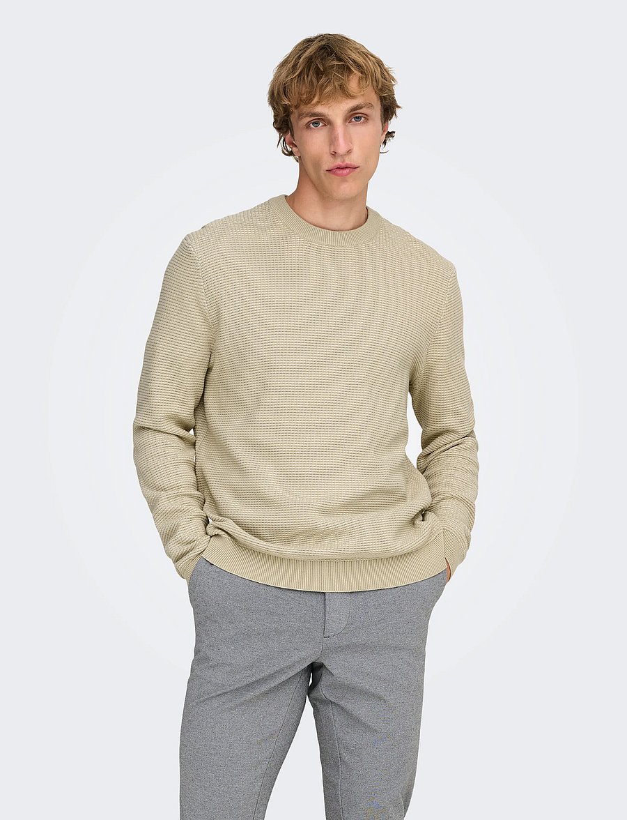 ONLY & SONS - ONSDAVE REG LS CREW NECK KNIT NOOS - Ümara kaelusega - silver lining - 0