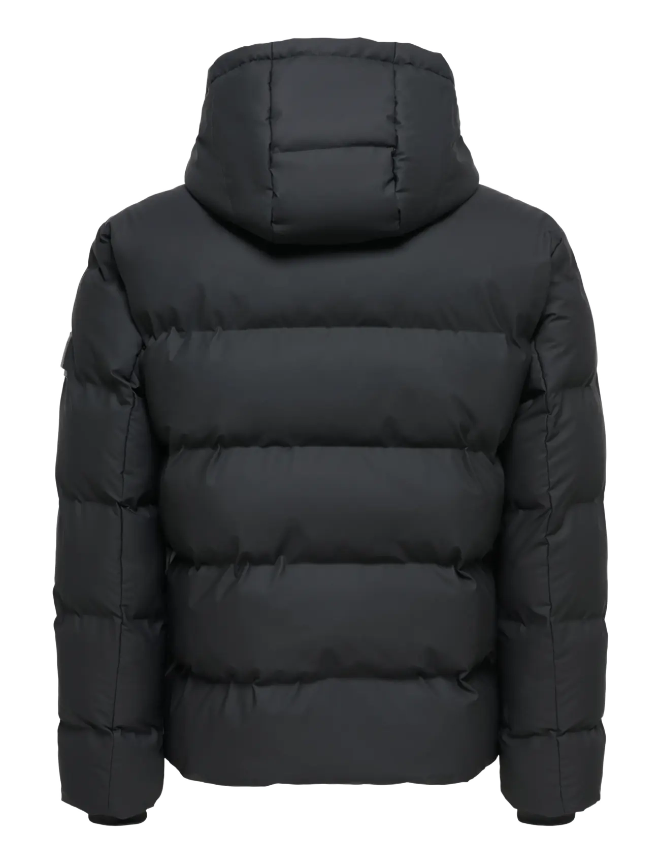 ONLY & SONS - ONSREIGA PUFFER OTW NOOS - black - 1