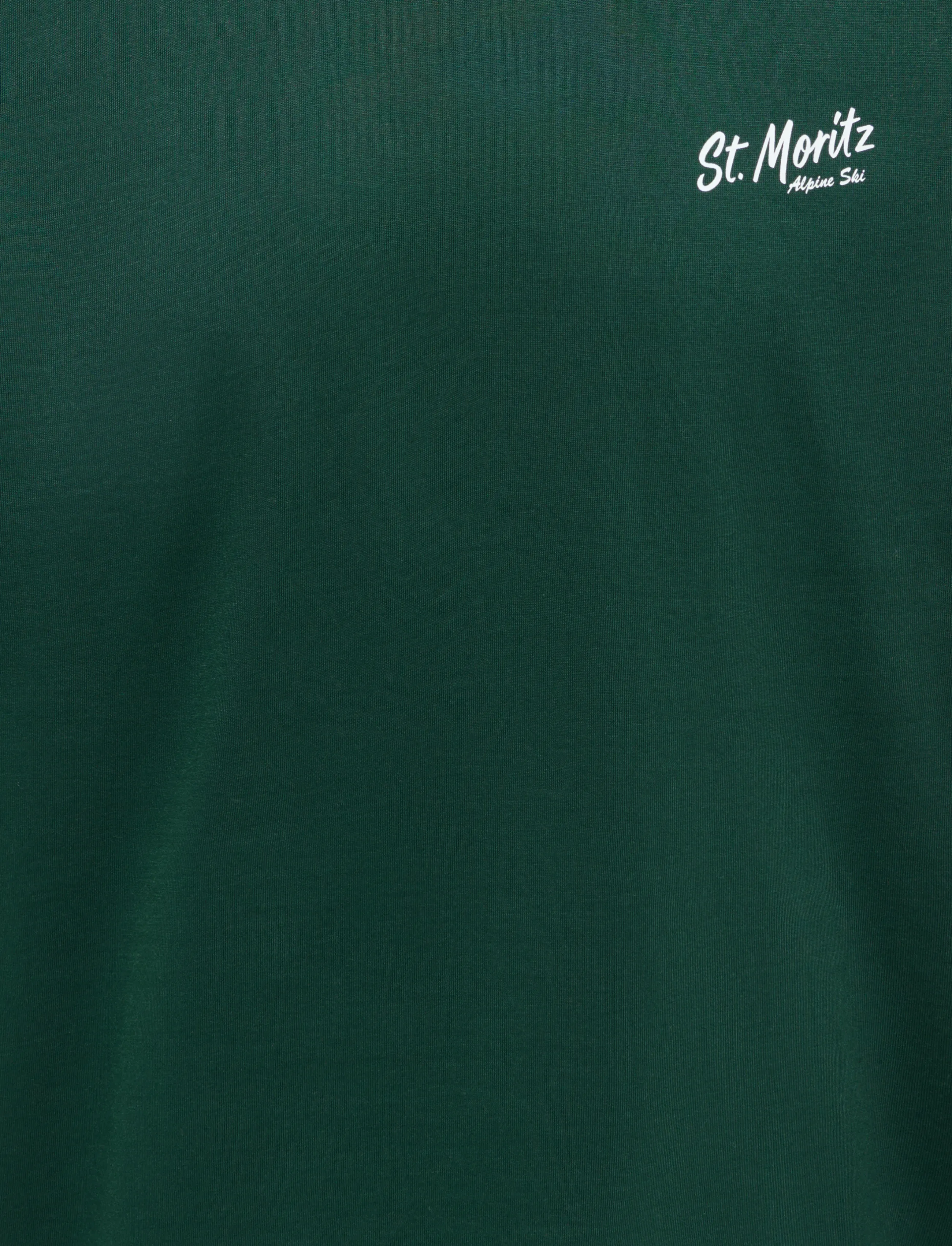 ONLY & SONS - ONSFRED LIFE RLX SS PRINT TEE VD - kurzärmelige t-shirts - pine grove - 3