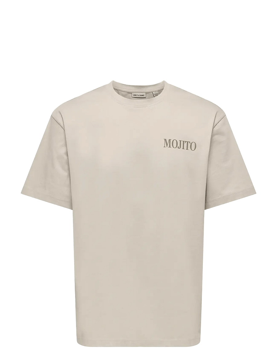 ONLY & SONS - ONSFRED LIFE RLX SS PRINT TEE VD - kortärmade t-shirts - silver lining - 0