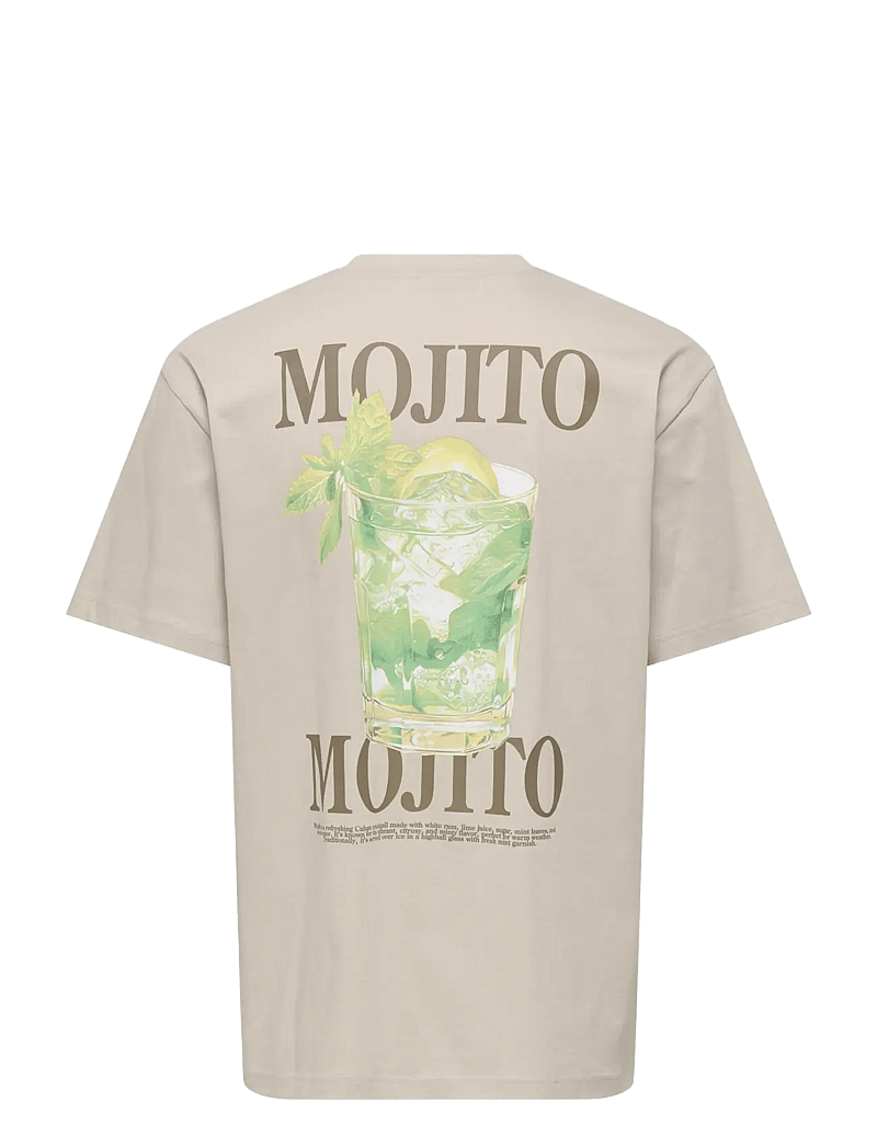 ONLY & SONS - ONSFRED LIFE RLX SS PRINT TEE NOOS - kortærmede t-shirts - silver lining - 1