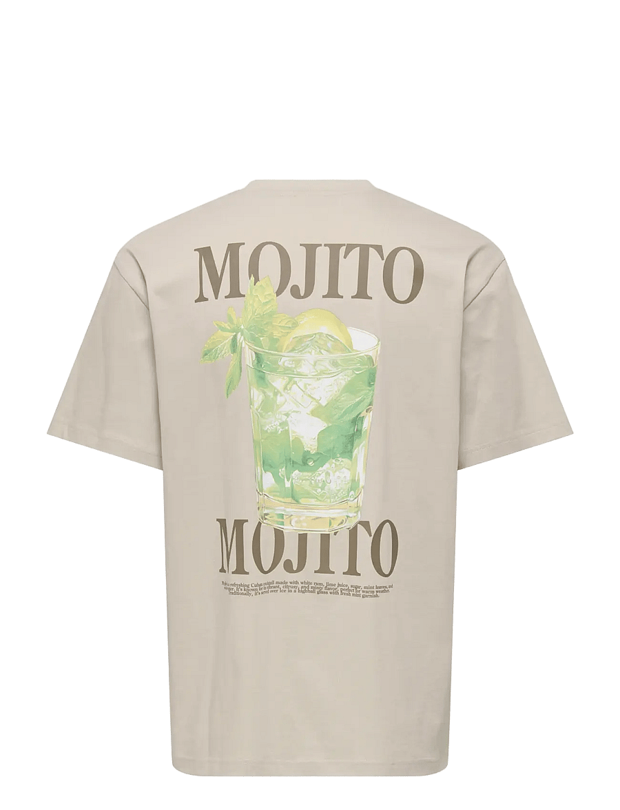 ONLY & SONS - ONSFRED LIFE RLX SS PRINT TEE VD - kortärmade t-shirts - silver lining - 1