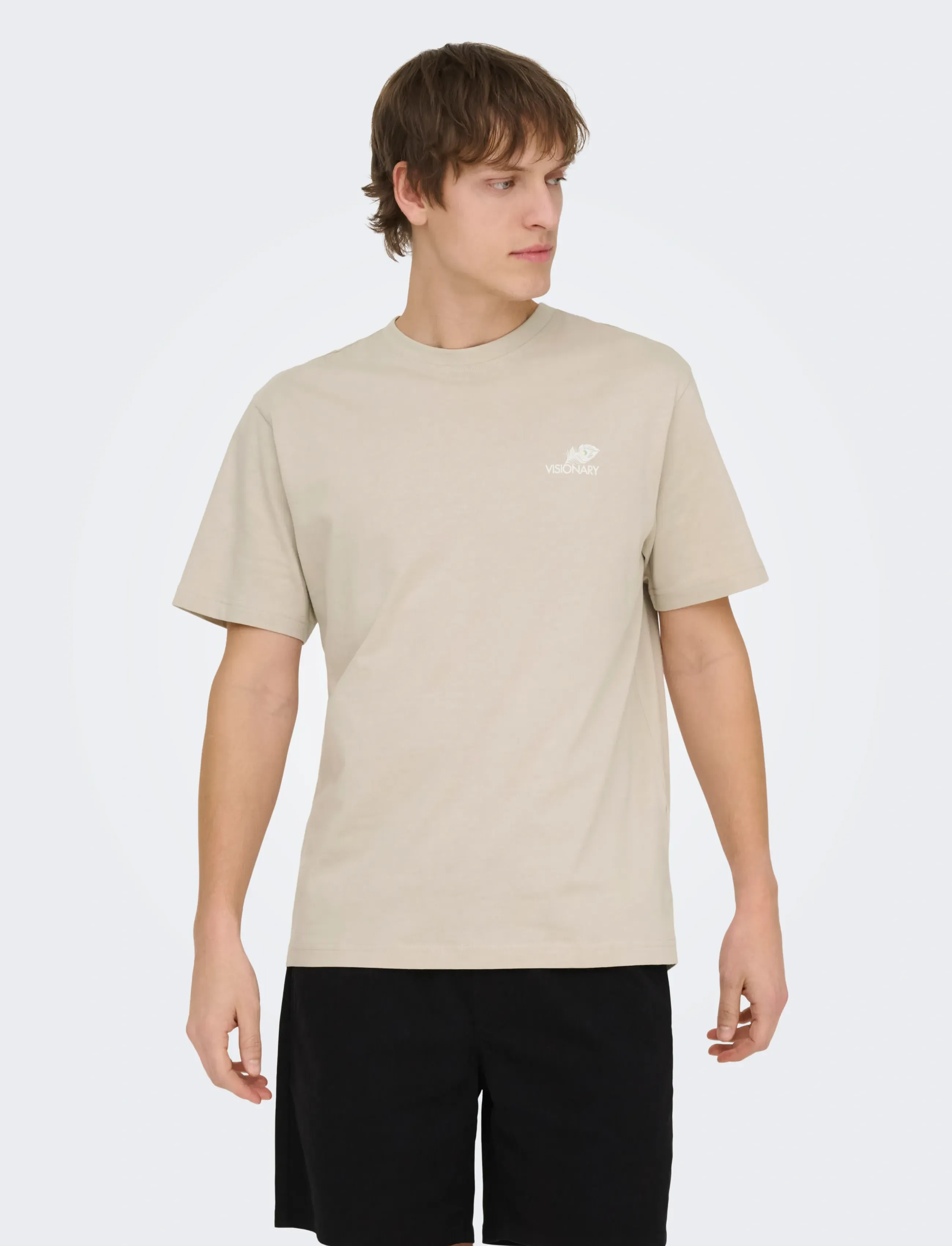 ONLY & SONS ONSFRED LIFE RLX SS PRINT TEE NOOS - T-Shirts - SILVER LINING / beige