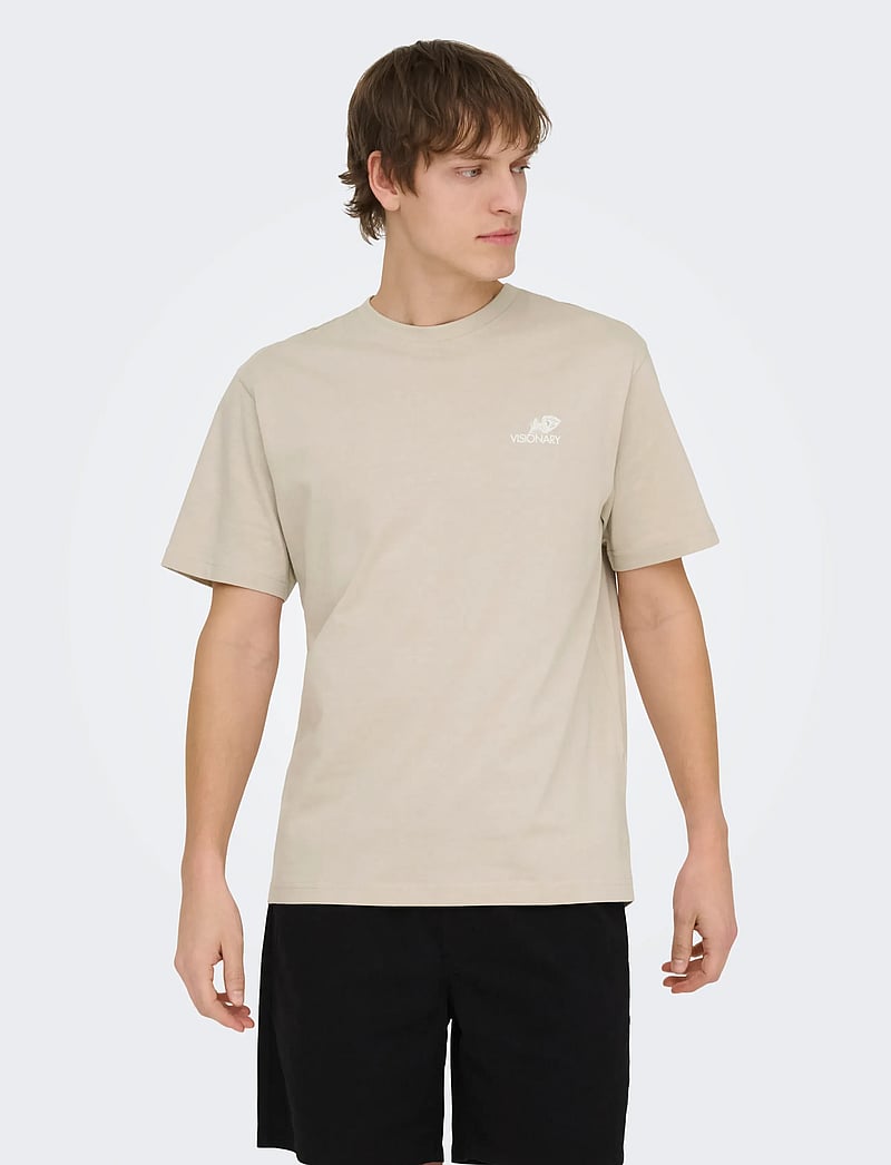 ONLY & SONS - ONSFRED LIFE RLX SS PRINT TEE NOOS - kortærmede t-shirts - silver lining - 0