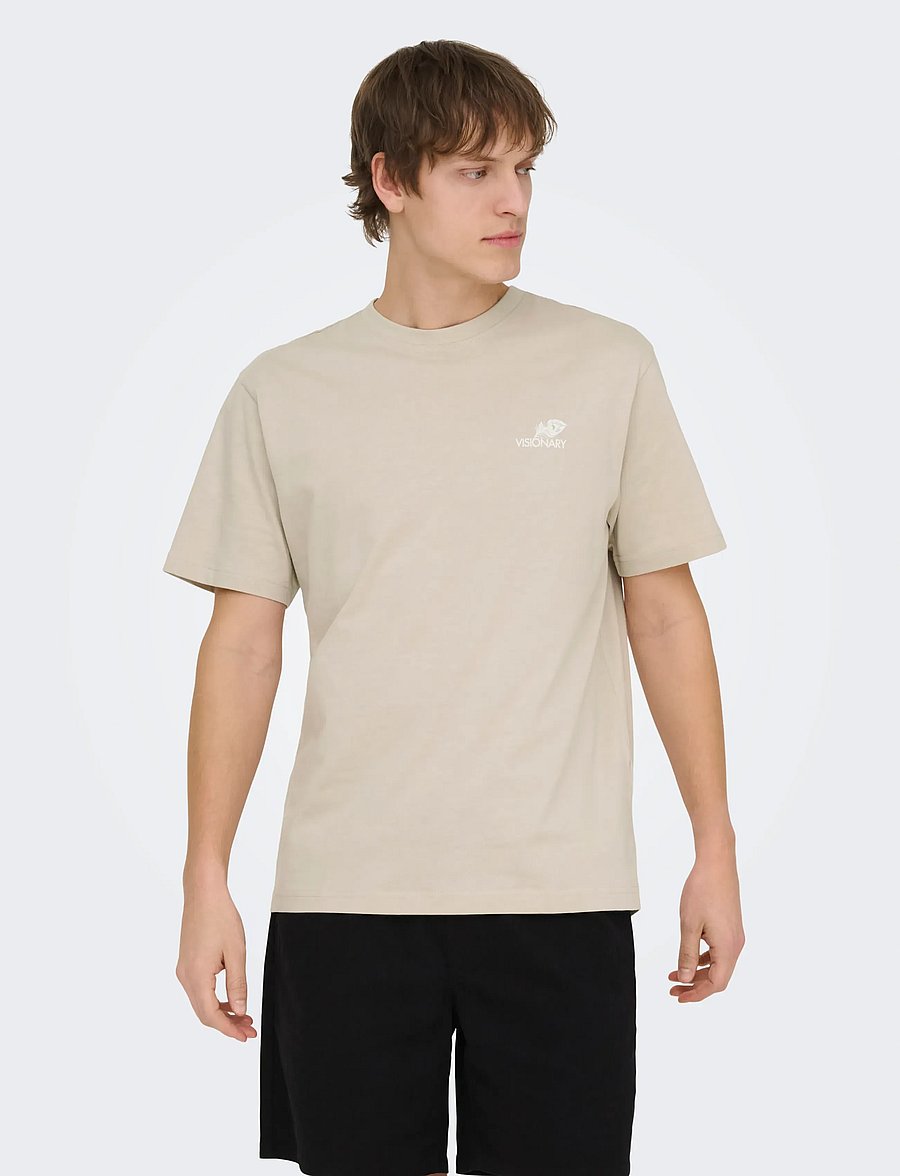 ONLY & SONS - ONSFRED LIFE RLX SS PRINT TEE VD - kortärmade t-shirts - silver lining - 0