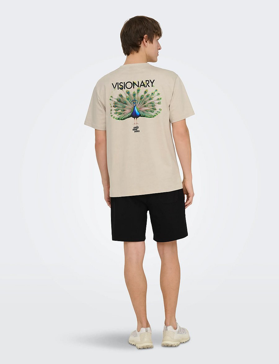 ONLY & SONS - ONSFRED LIFE RLX SS PRINT TEE VD - kortärmade t-shirts - silver lining - 4