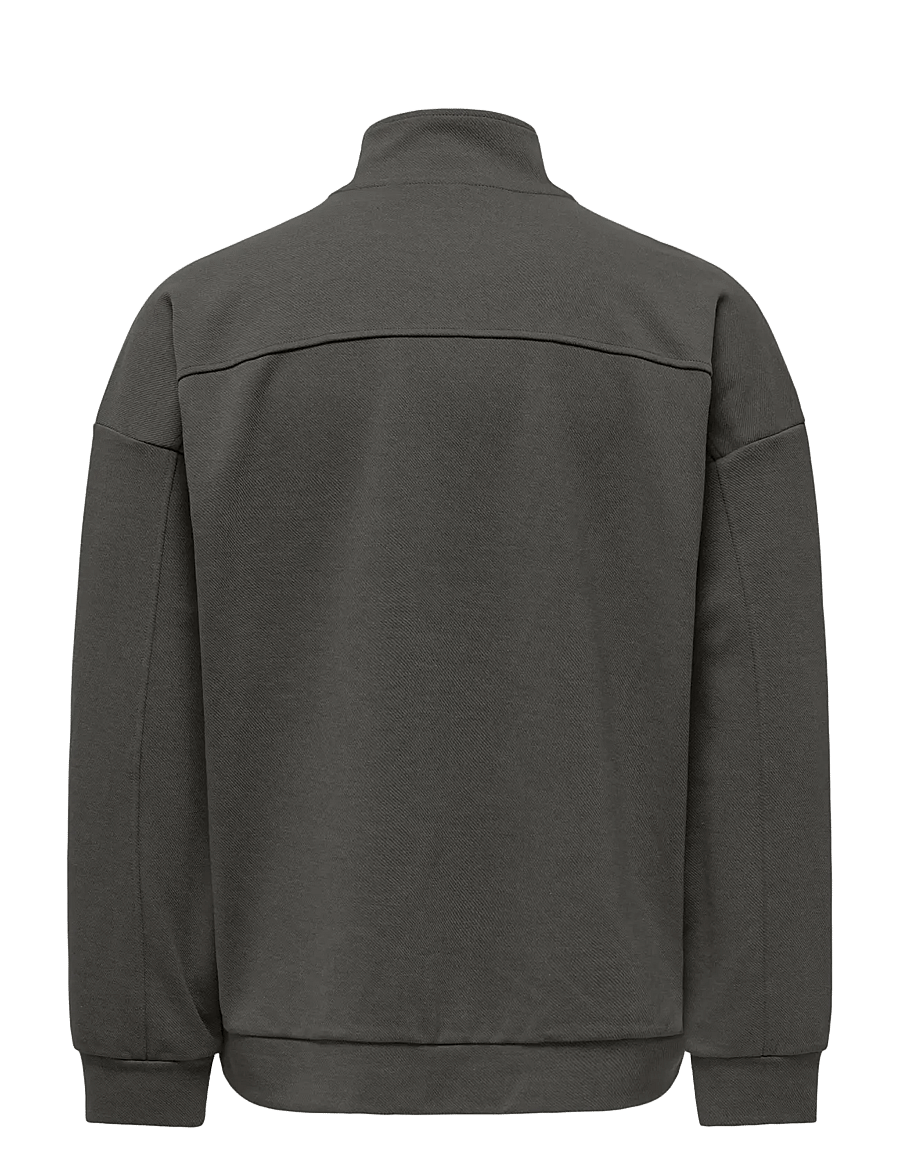 ONLY & SONS - ONSNEWKODYL OVZ LS HALFZIP HIGH NECK VD - beluga - 1