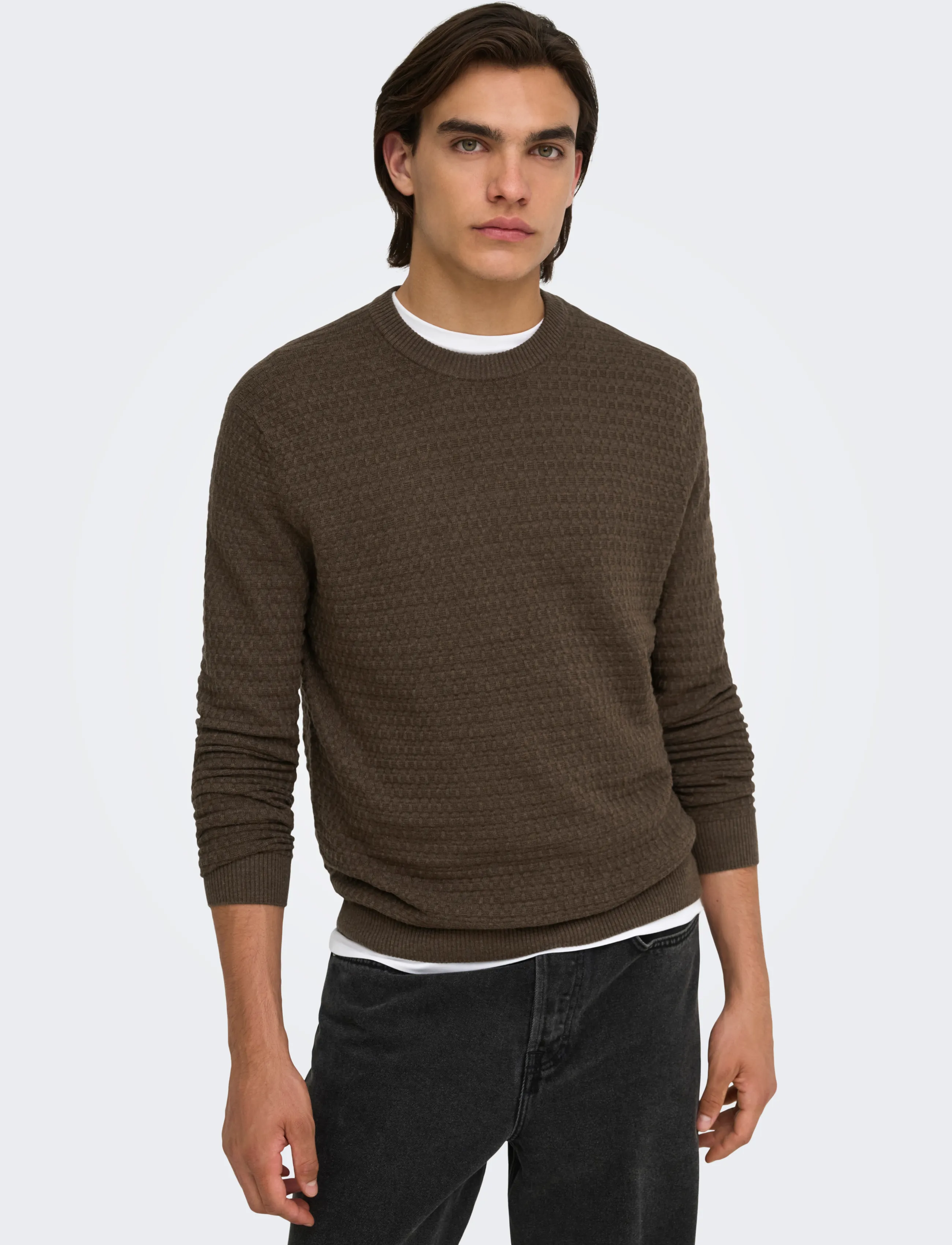 ONLY & SONS Onsloui Ls Structure Crew Reg Noos stickade tröjor herr – bild 7