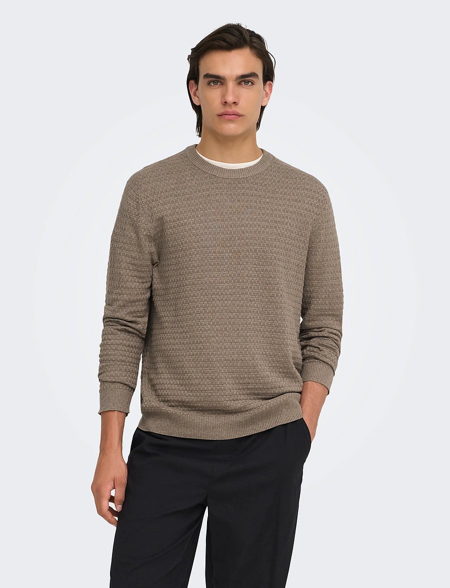 ONLY & SONS - ONSLOUI LS STRUCTURE CREW REG NOOS - Ümara kaelusega - desert taupe - 0