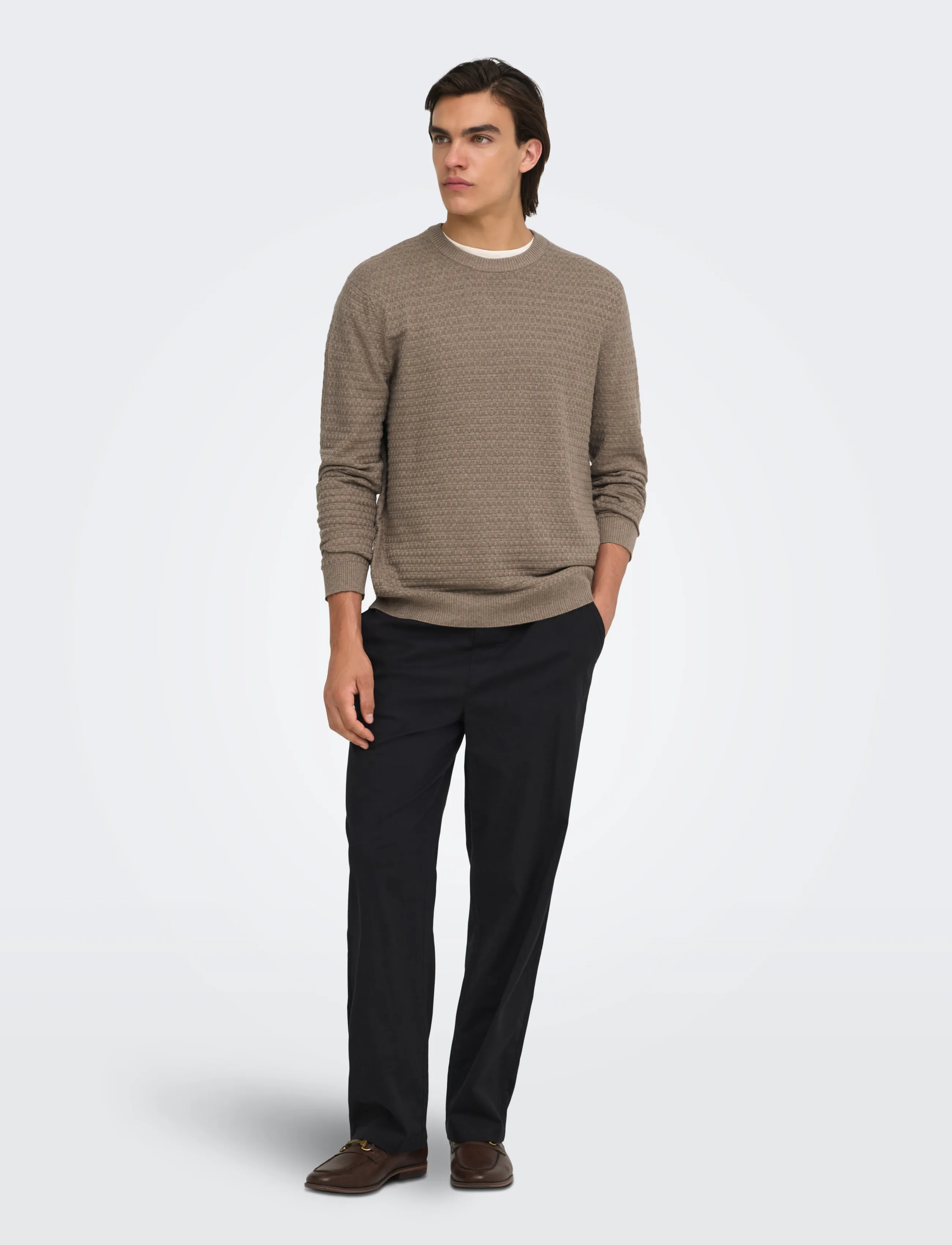 ONLY & SONS - ONSLOUI LS STRUCTURE CREW REG NOOS - Ümara kaelusega - desert taupe - 4