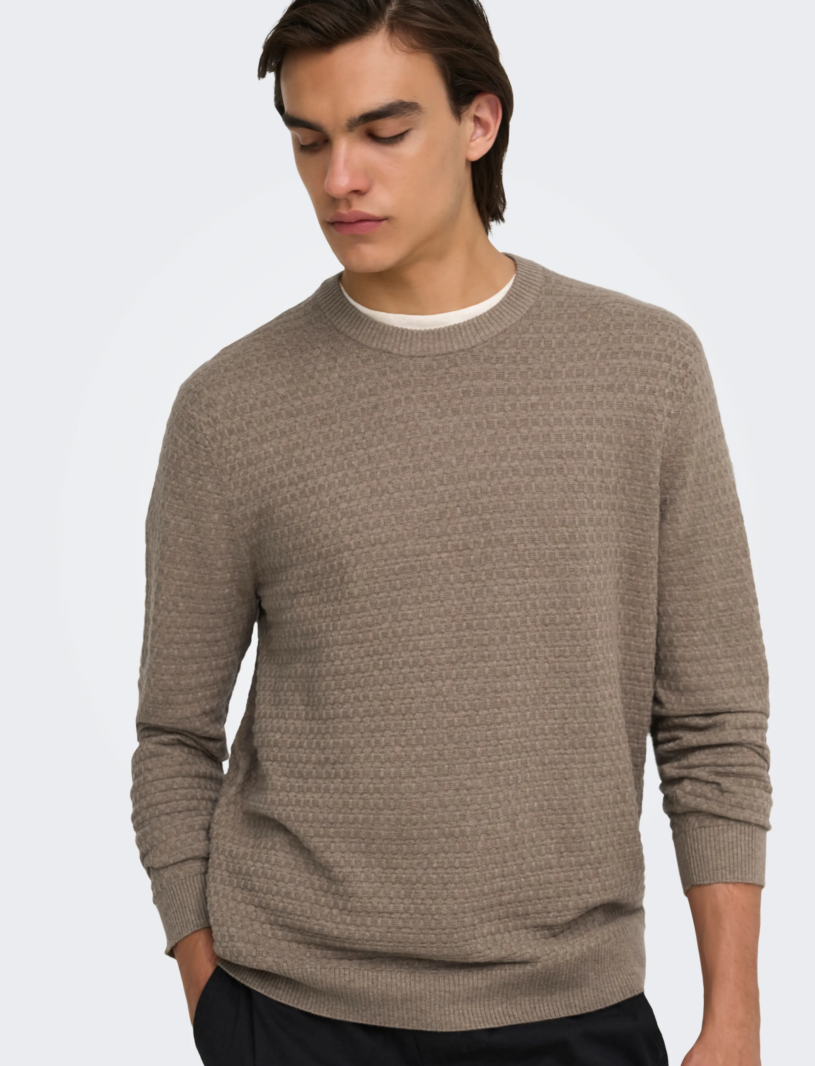 ONLY & SONS - ONSLOUI LS STRUCTURE CREW REG NOOS - Ümara kaelusega - desert taupe - 5