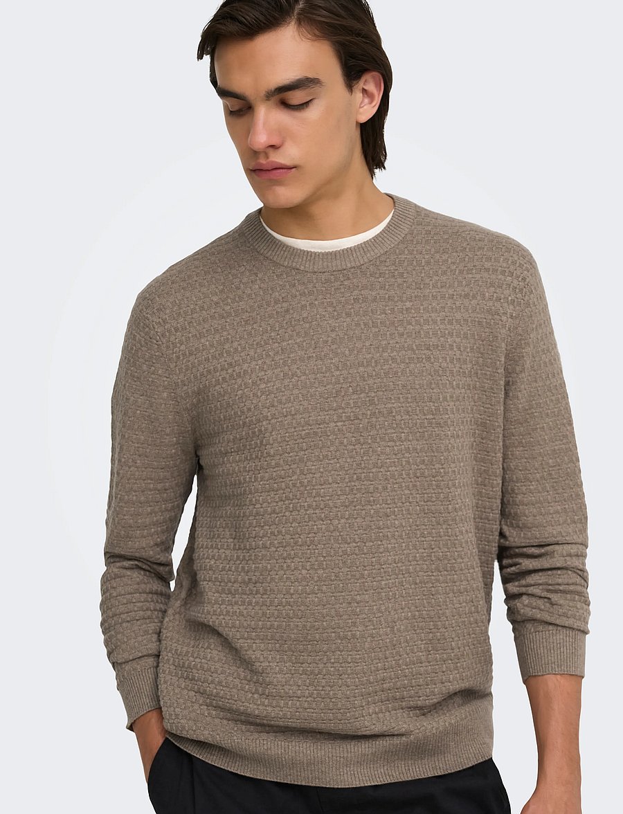 ONLY & SONS - ONSLOUI LS STRUCTURE CREW REG NOOS - Ümara kaelusega - desert taupe - 5