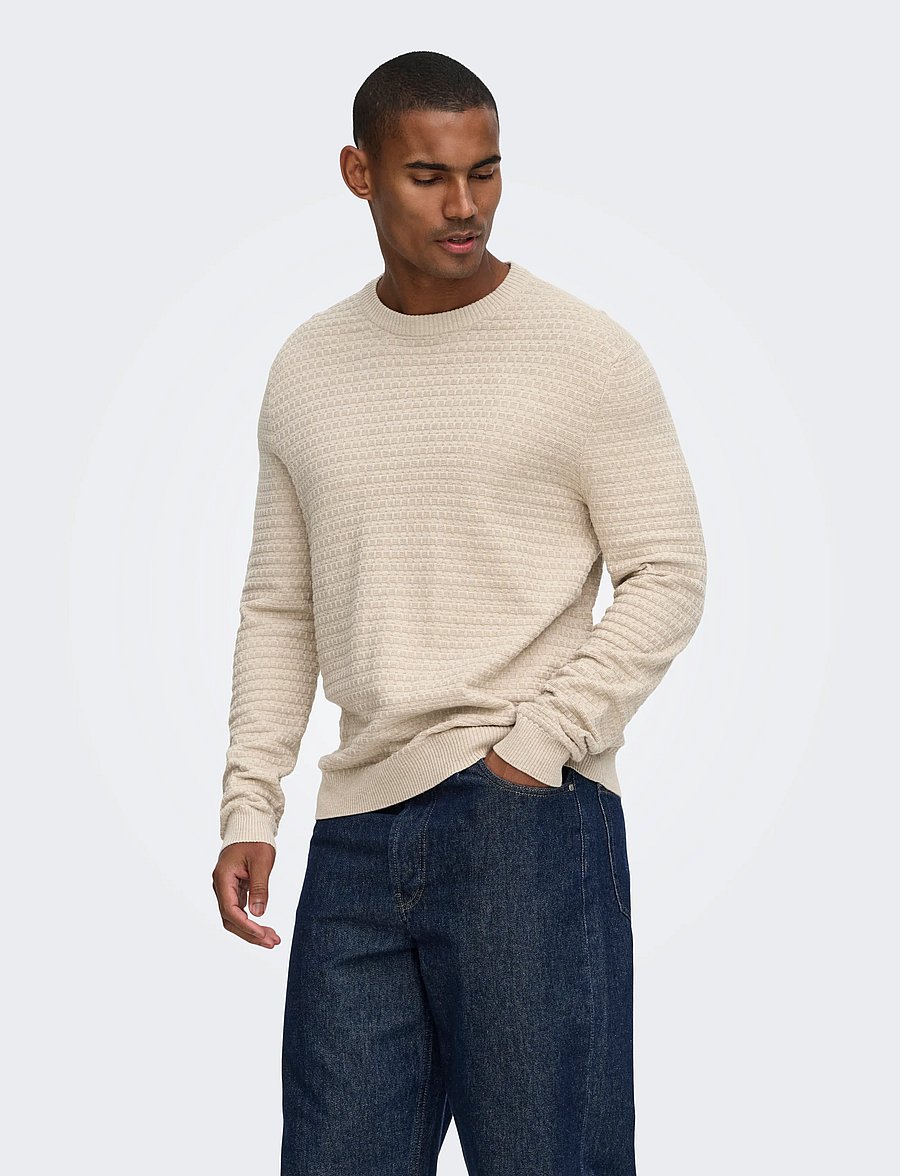 ONLY & SONS - ONSLOUI LS STRUCTURE CREW REG NOOS - oatmeal - 0