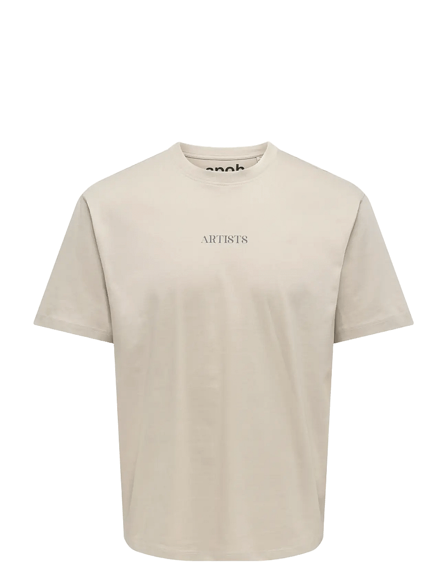 ONLY & SONS - ONSART LIFE RLX SS LIC TEE - silver lining - 1