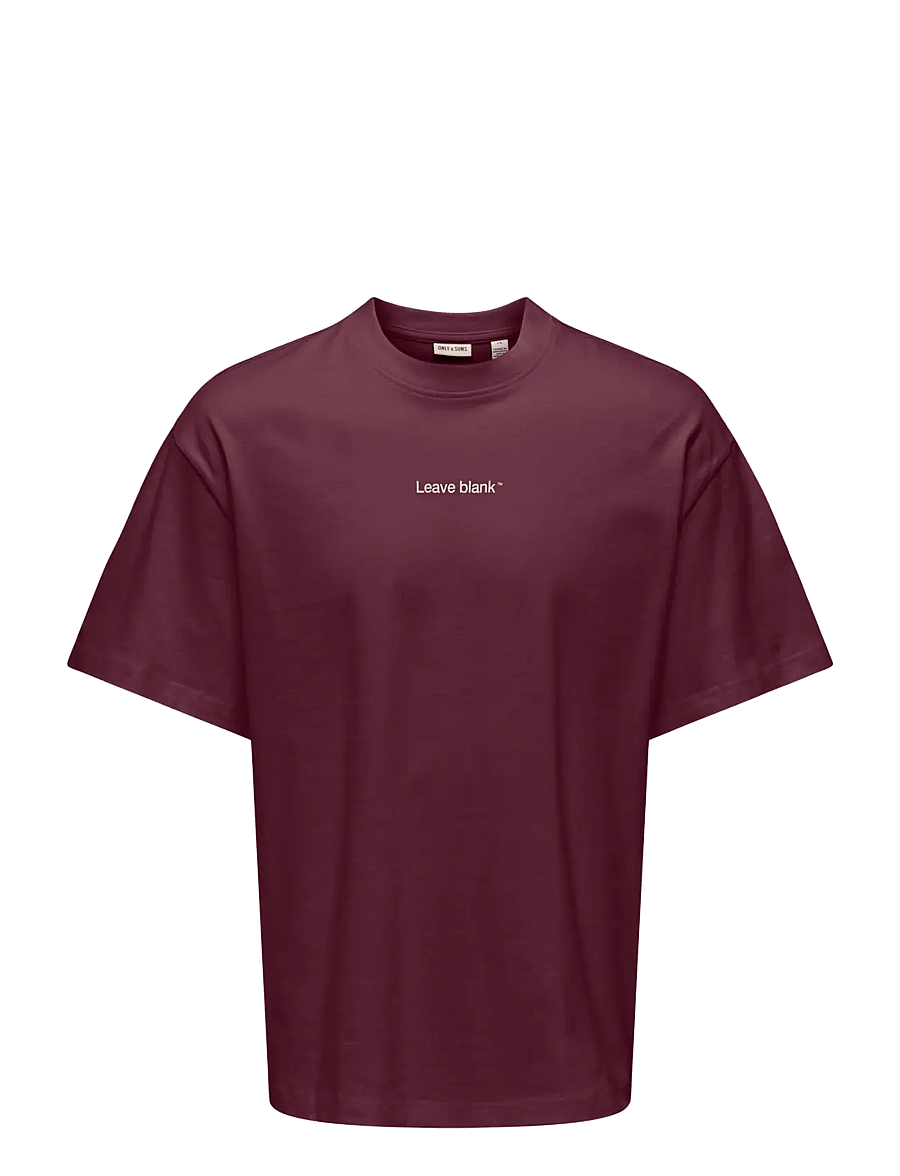ONLY & SONS - ONSFRED LIFE OVZ TEE LB - lühikeste varrukatega t-särgid - fig - 0
