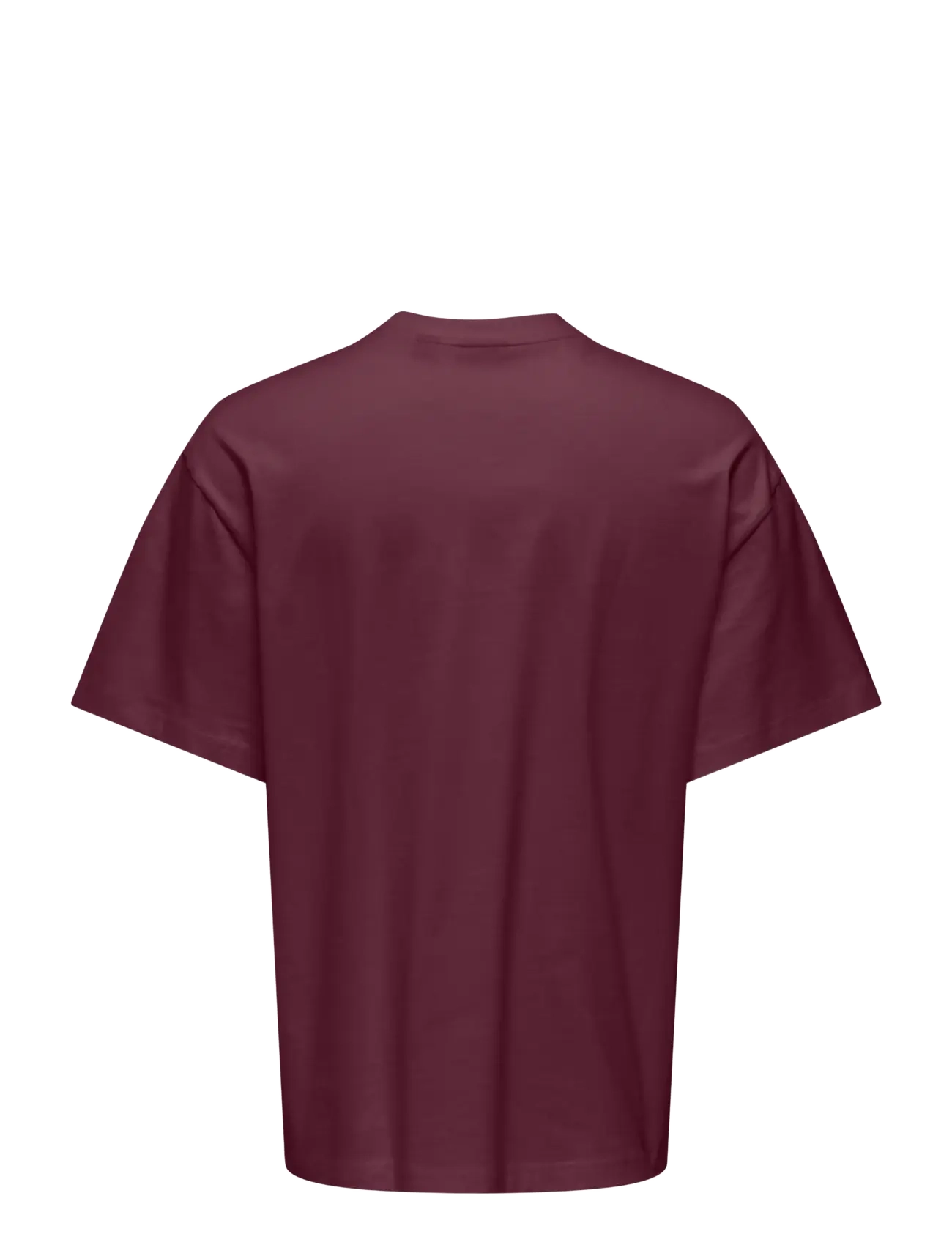 ONLY & SONS - ONSFRED LIFE OVZ TEE LB - lühikeste varrukatega t-särgid - fig - 1