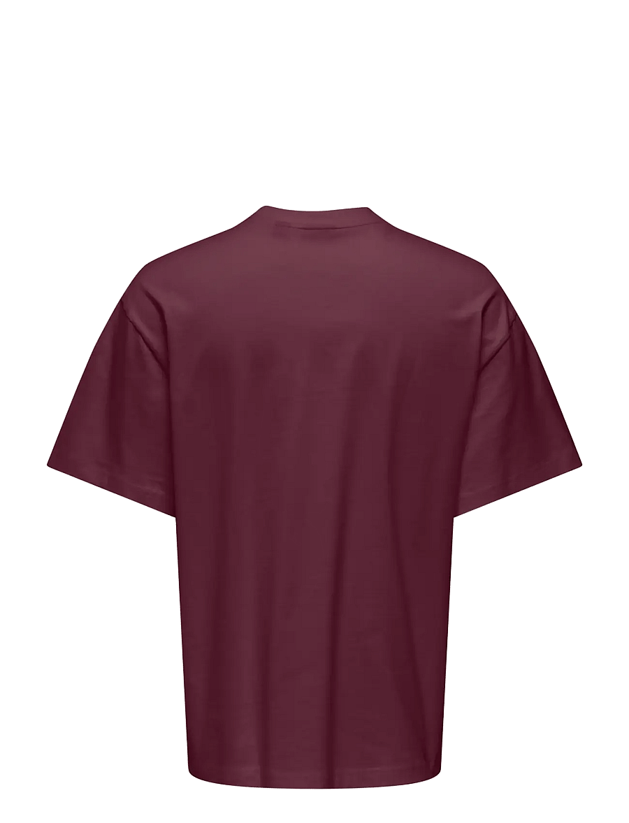 ONLY & SONS - ONSFRED LIFE OVZ TEE LB - lühikeste varrukatega t-särgid - fig - 1