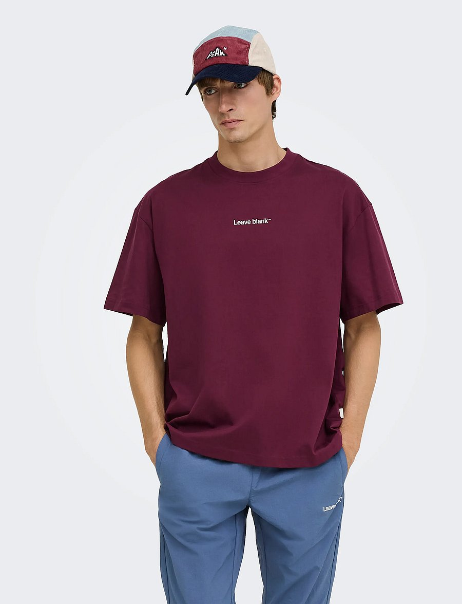 ONLY & SONS - ONSFRED LIFE OVZ TEE LB - kurzärmelige t-shirts - fig - 0
