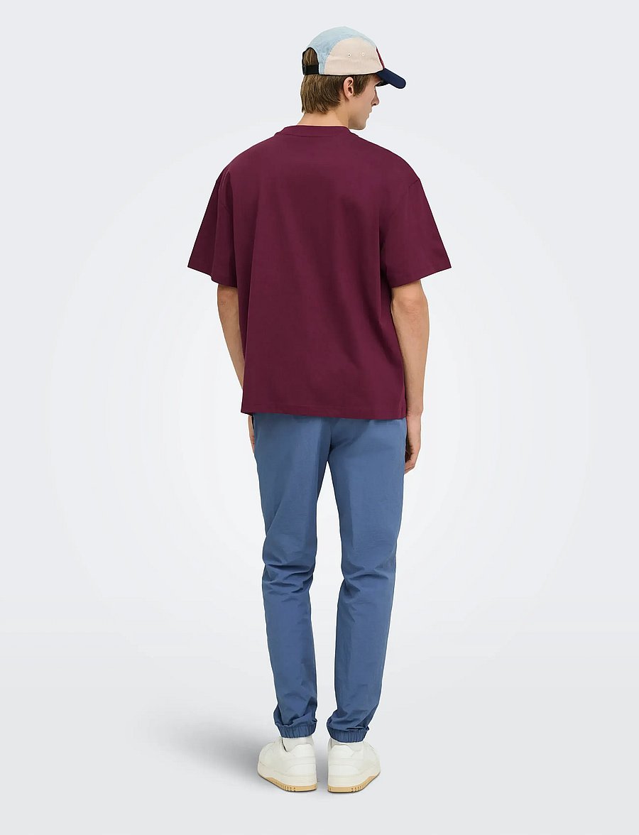ONLY & SONS - ONSFRED LIFE OVZ TEE LB - kurzärmelige t-shirts - fig - 3