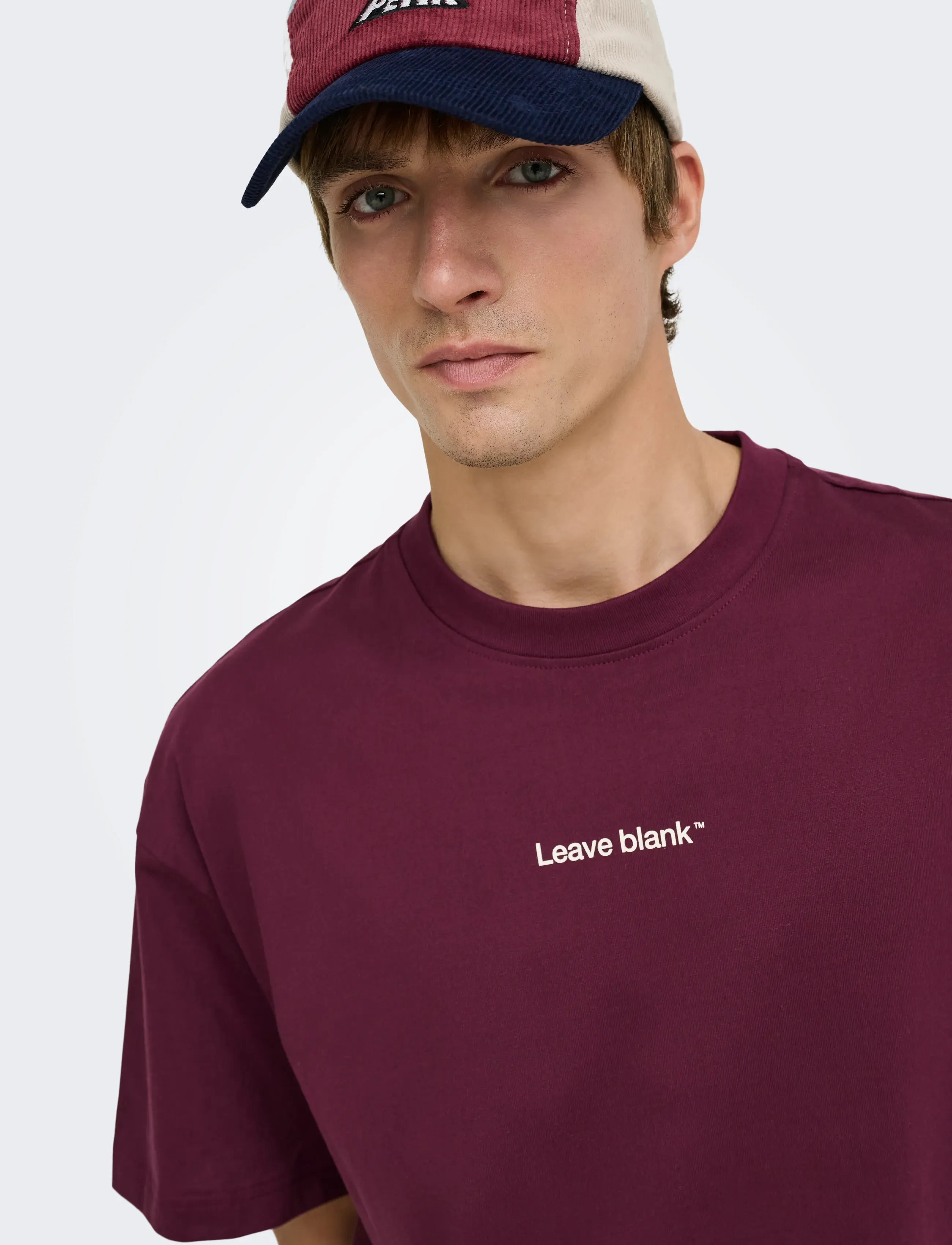 ONLY & SONS - ONSFRED LIFE OVZ TEE LB - t-shirts - fig - 5
