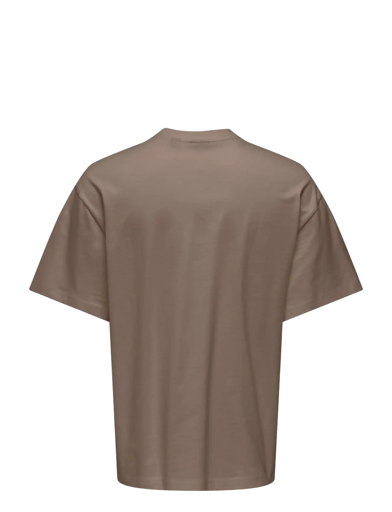 ONLY & SONS - ONSFRED LIFE OVZ TEE LB - fossil - 1