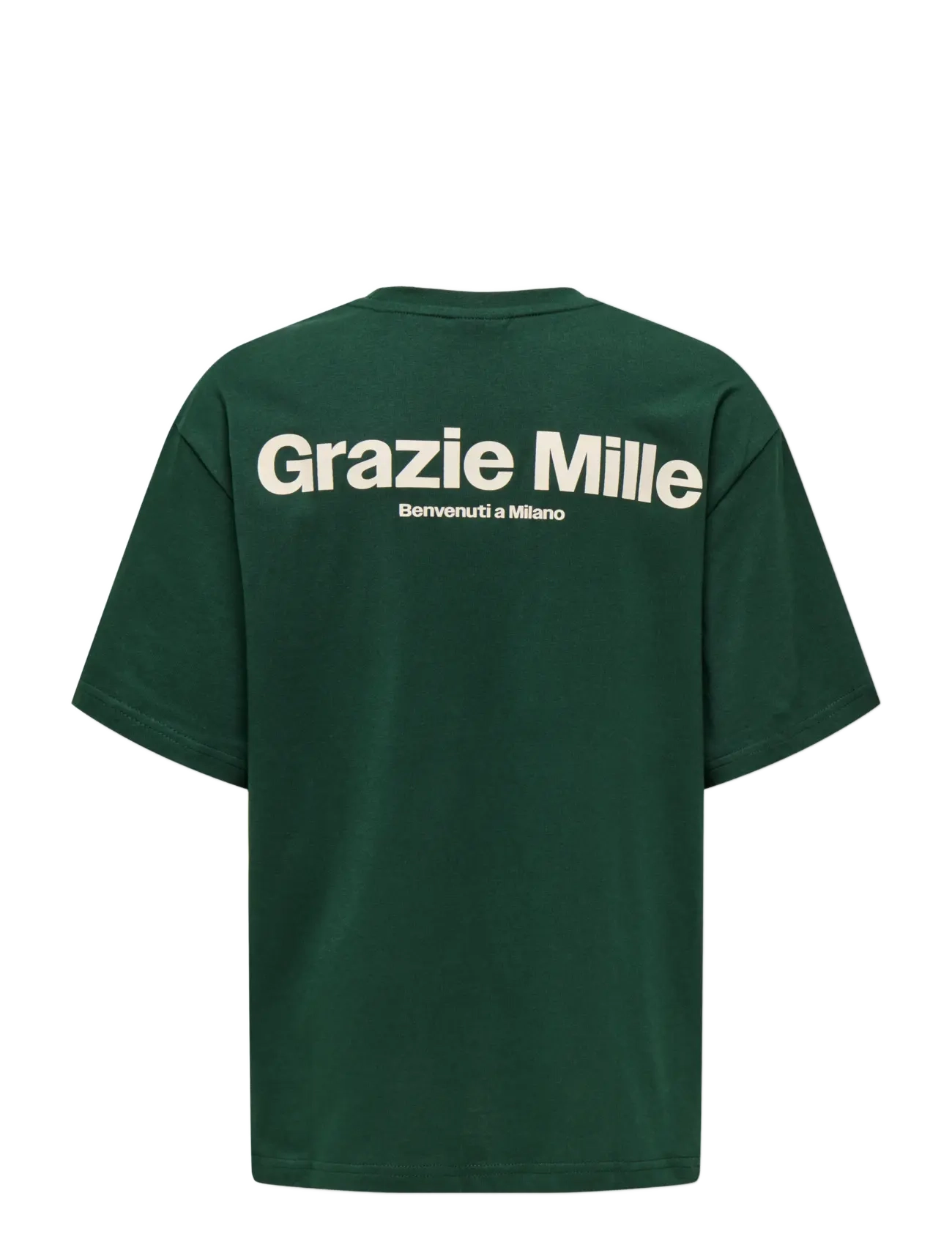 ONLY & SONS - OSJFRED MILANO OVZ SS TEE - pine grove - 1