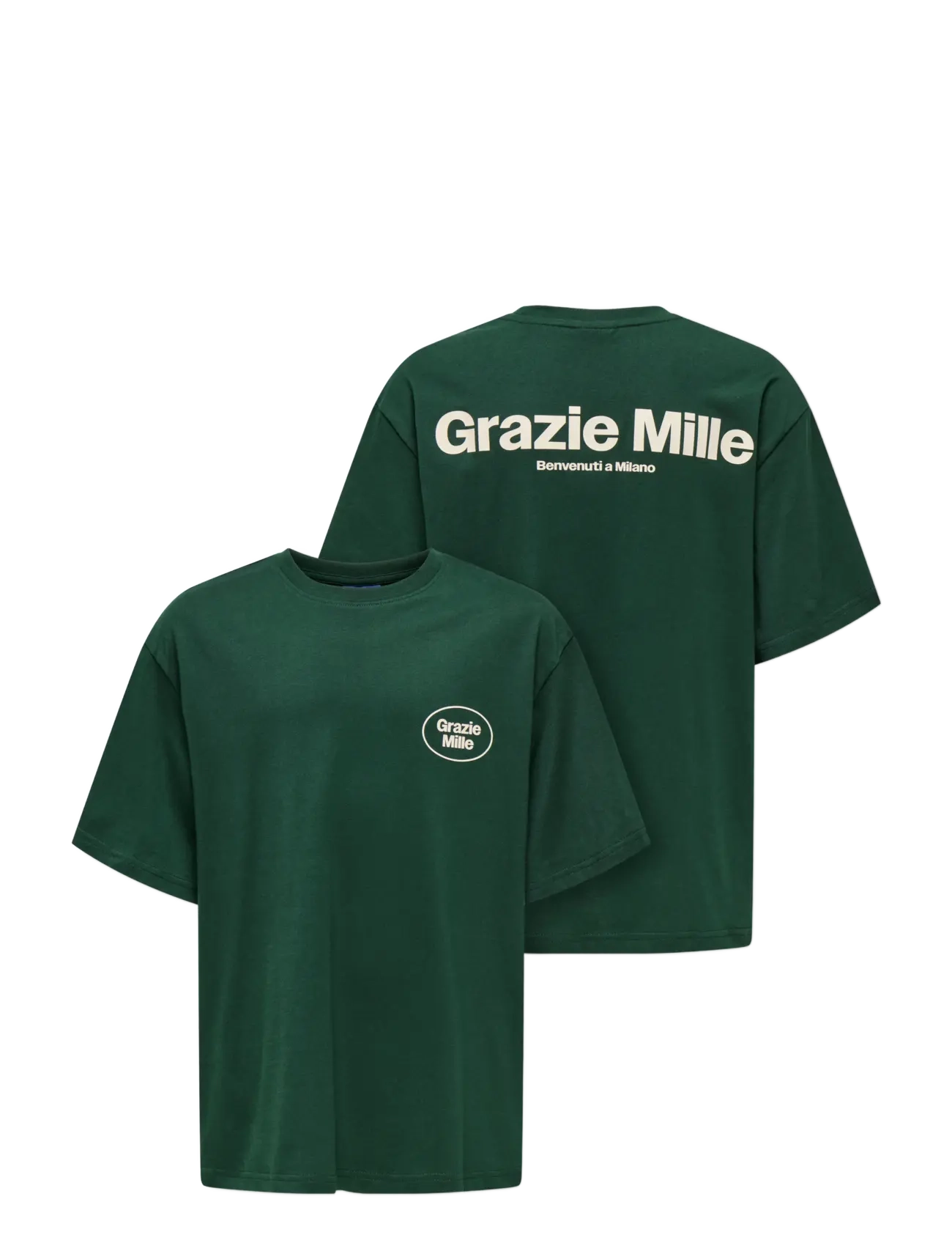 ONLY & SONS - OSJFRED MILANO OVZ SS TEE - pine grove - 2
