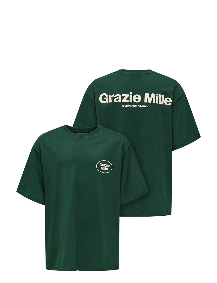 ONLY & SONS - OSJFRED MILANO OVZ SS TEE - kortærmede t-shirts - pine grove - 2