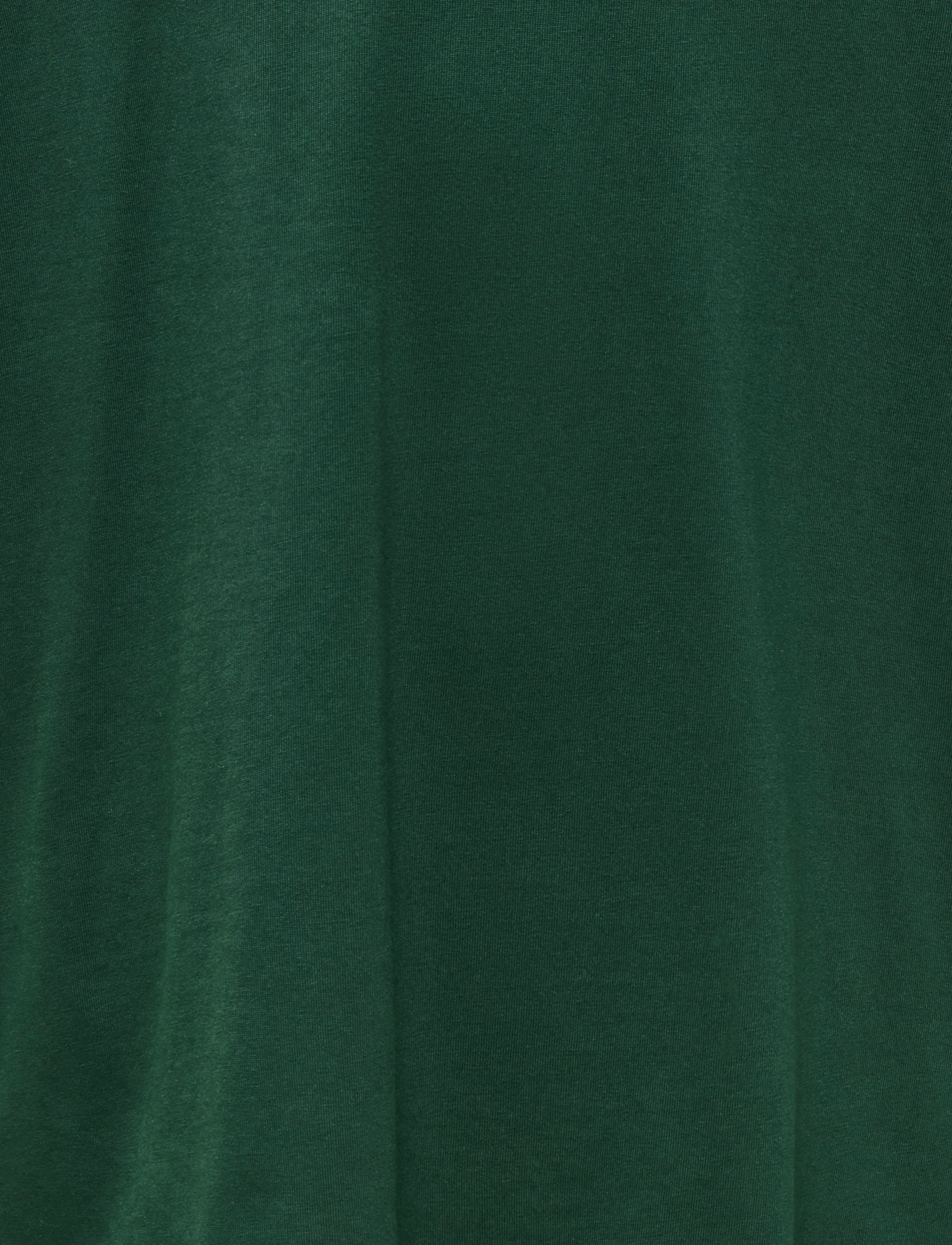 ONLY & SONS - OSJFRED MILANO OVZ SS TEE - pine grove - 3