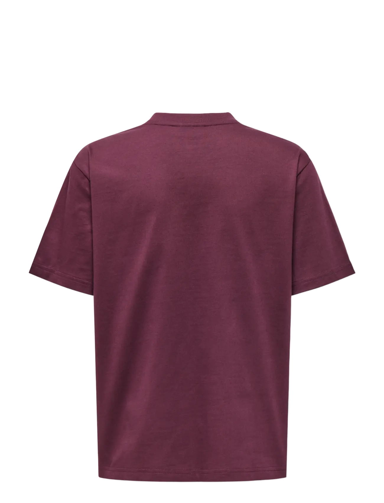 ONLY & SONS - OSJFRED LIFE RLX SS TEE LB - lühikeste varrukatega t-särgid - fig - 1