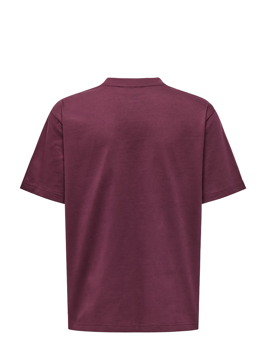 ONLY & SONS - OSJFRED LIFE RLX SS TEE LB - lühikeste varrukatega t-särgid - fig - 1